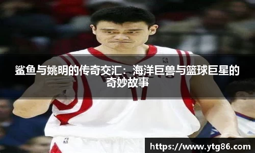 鲨鱼与姚明的传奇交汇：海洋巨兽与篮球巨星的奇妙故事